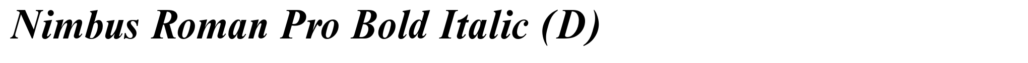 Nimbus Roman Pro Bold Italic (D) image